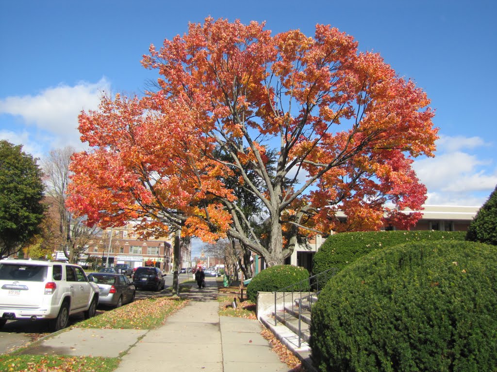Autumn