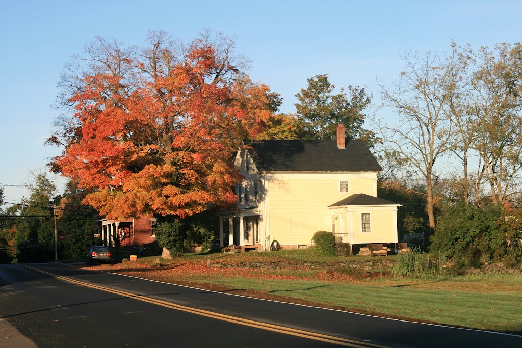 Autumn at the Brick Block