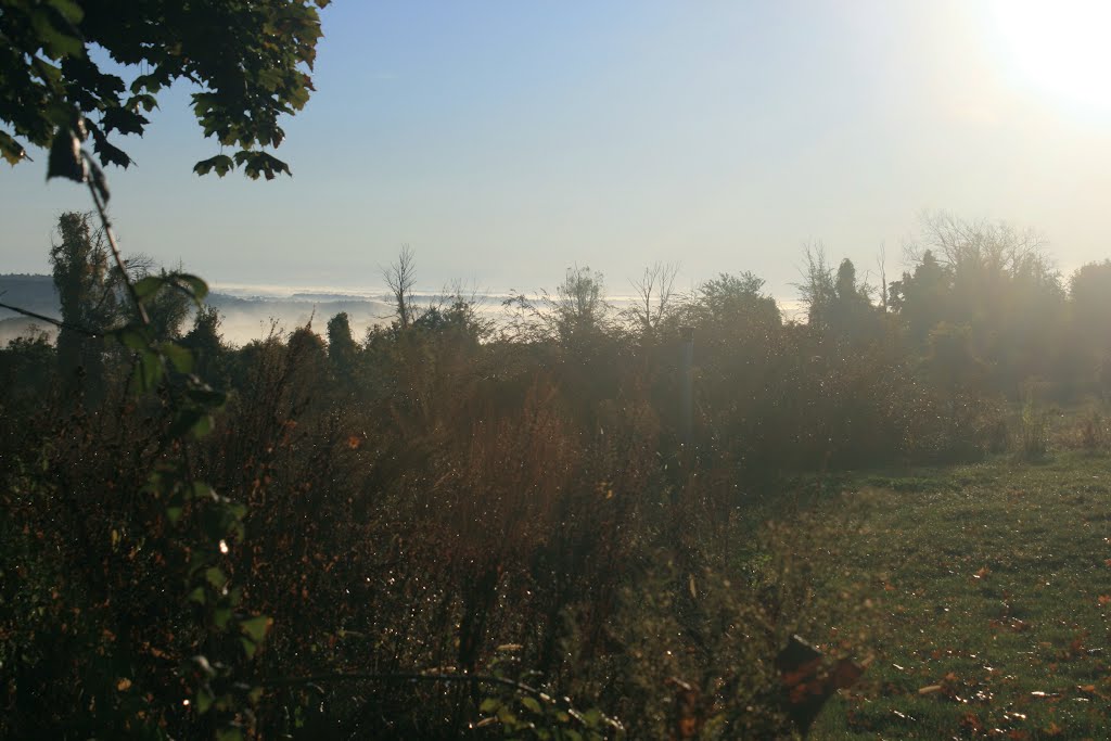 Fog fills the Blackstone Valley