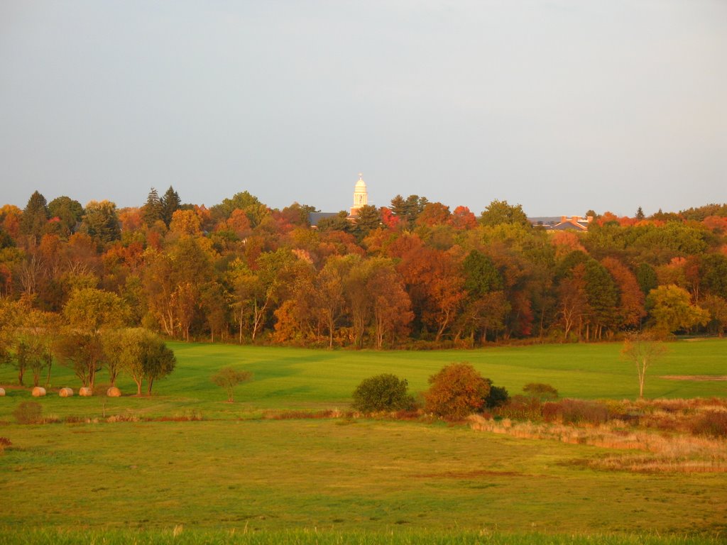 Dexter Drumlin Fall