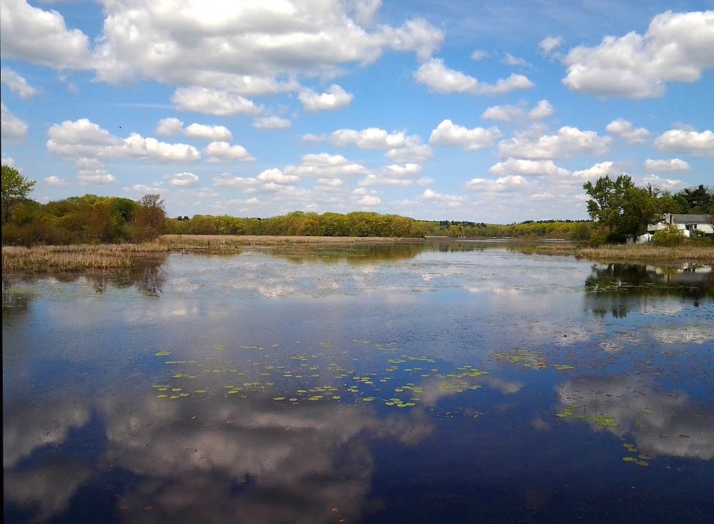 Milford Pond/Cedar Swamp