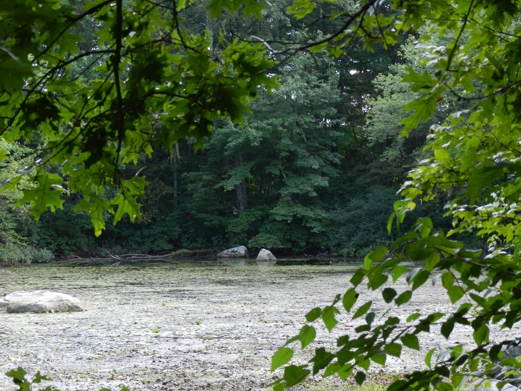 Kiwanis Park