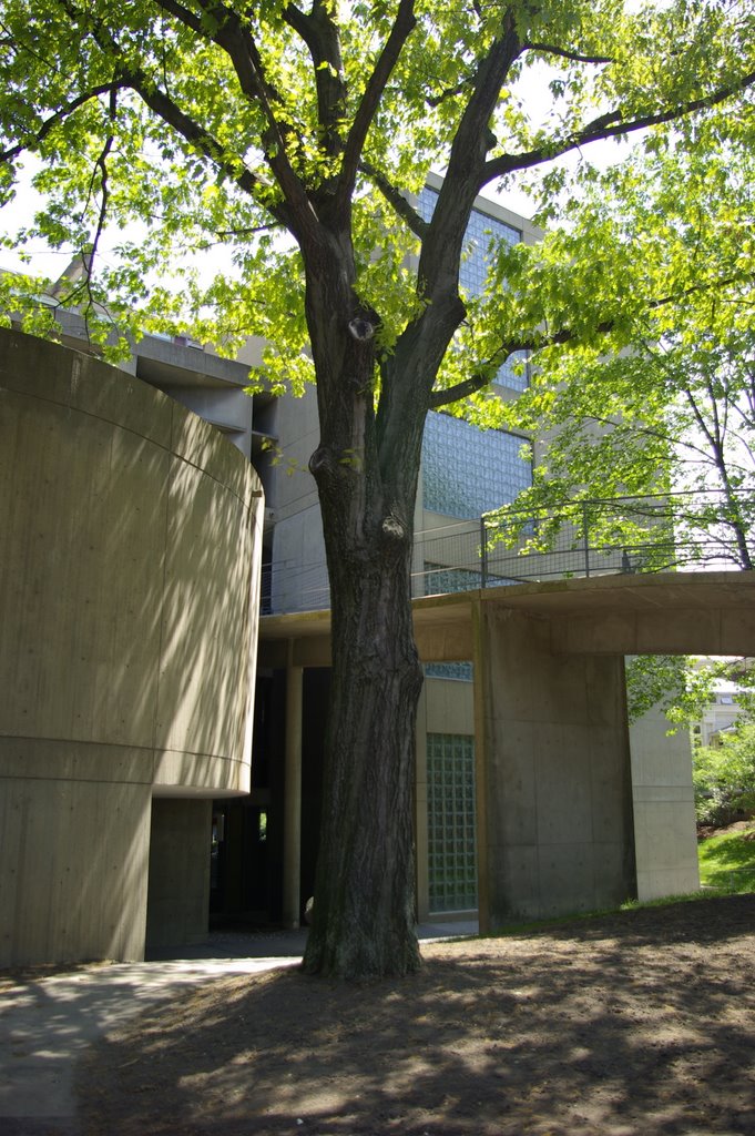 Carpenter Center by Le Corbusier, Detail