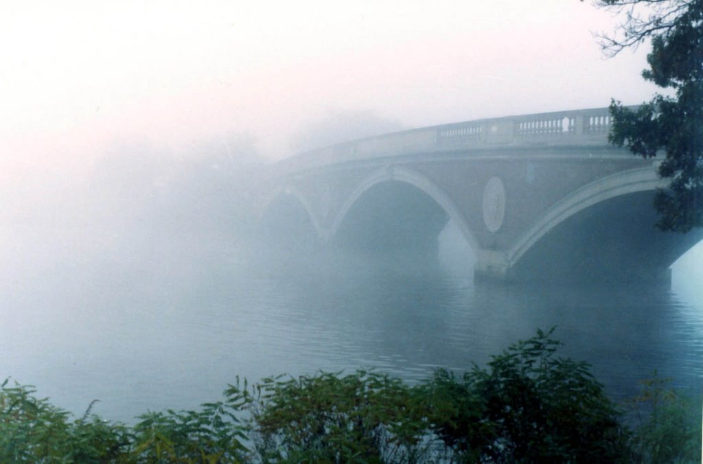 Weeks Bridge in Fog