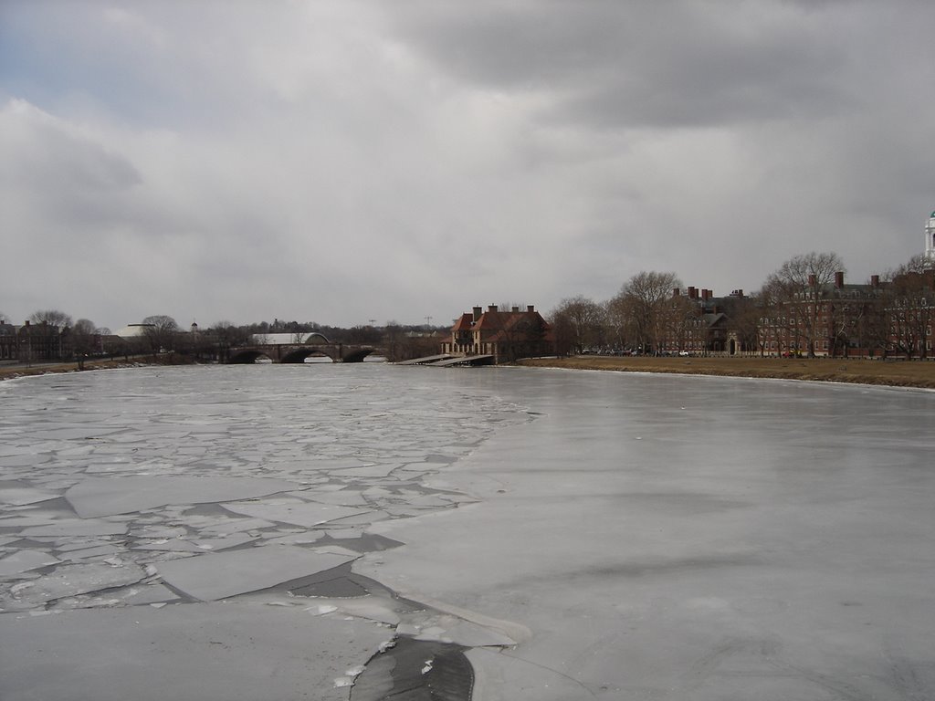 Harvard University  -  Cambridge, Massachusetts