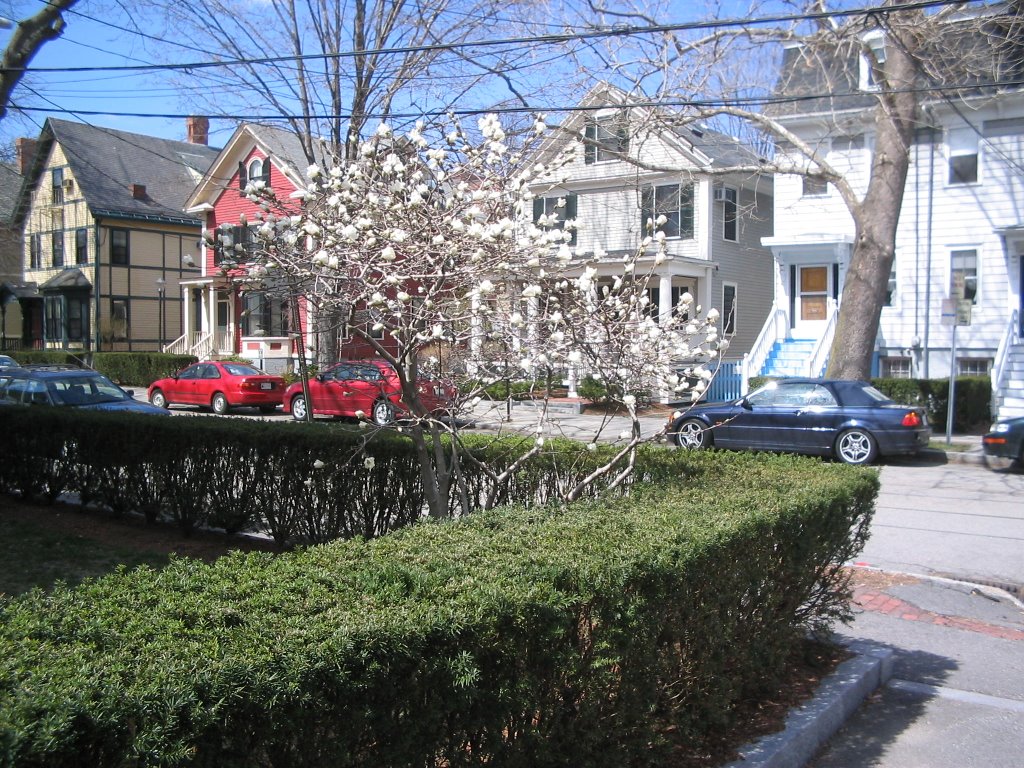 April 2006 024