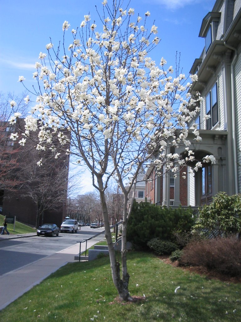 April 2006 027