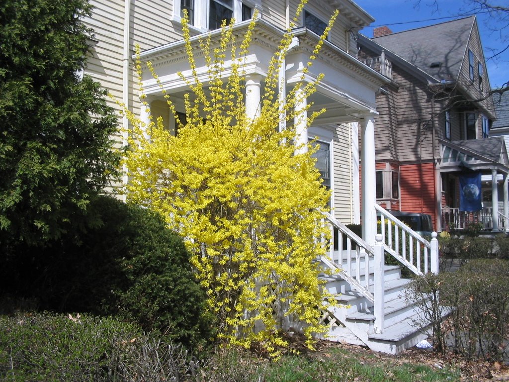 April 2006 028