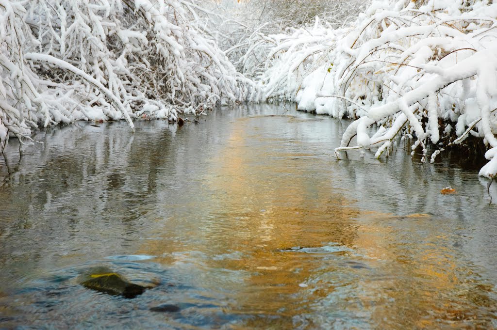 Chase Preserve