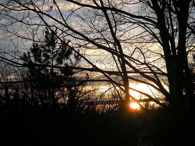 Early March Sunrise Through Trees