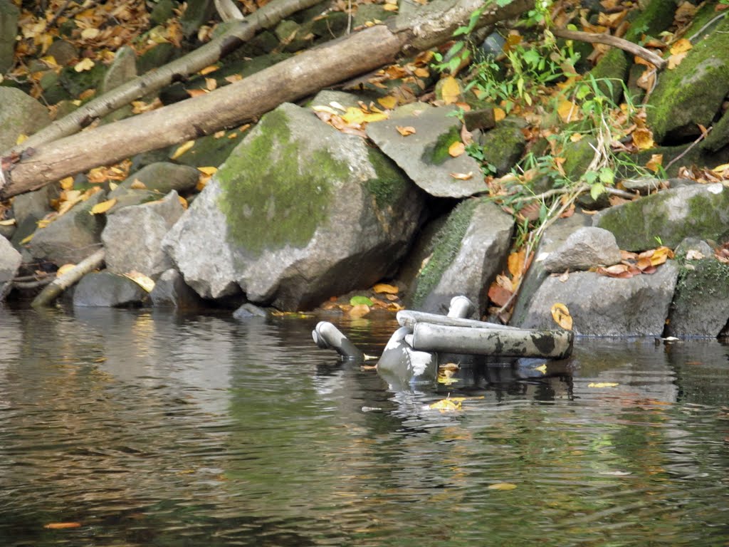 Office chair in the water