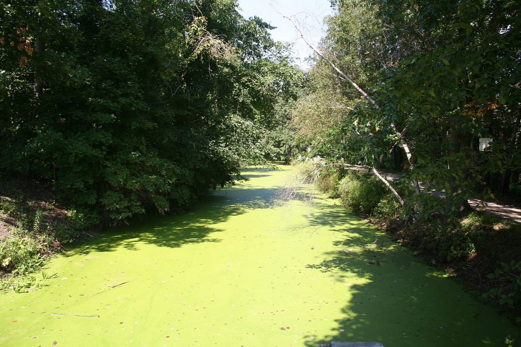 Blackstone Canal