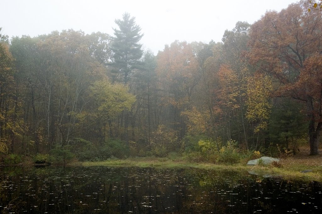 Pond in Taft Memorial Park, Uxbridge MA