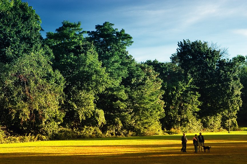 Boyd Park – Watertown, Massachusetts