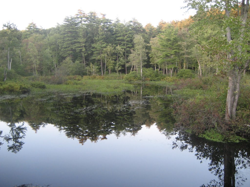 West River