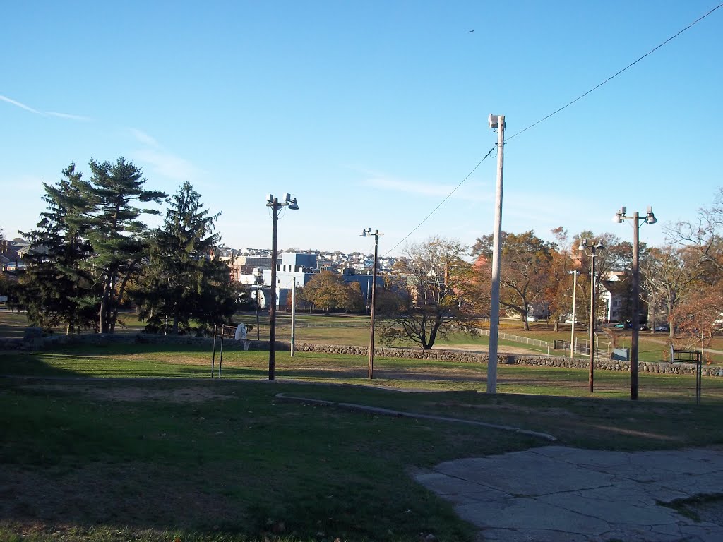 From the Top of Ruggles Park