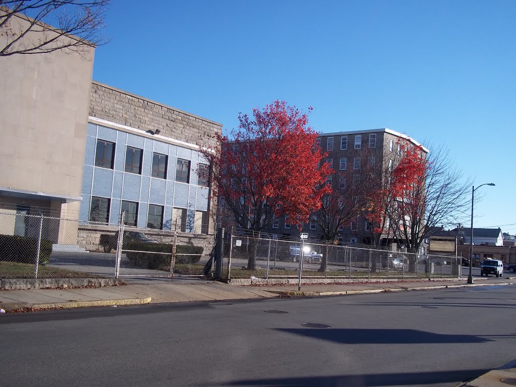 Looking Up Bedford