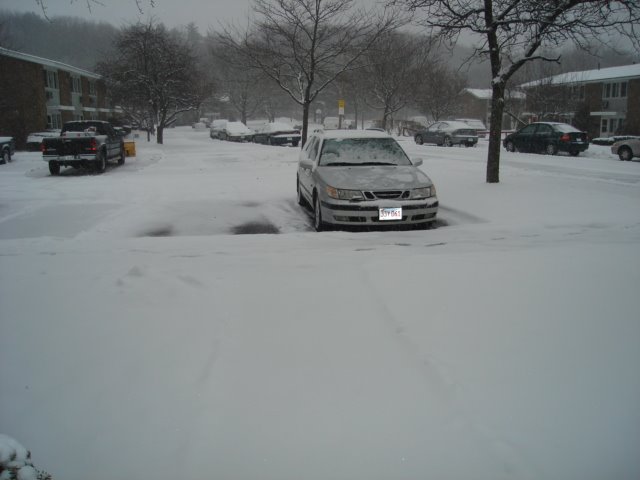 winter day