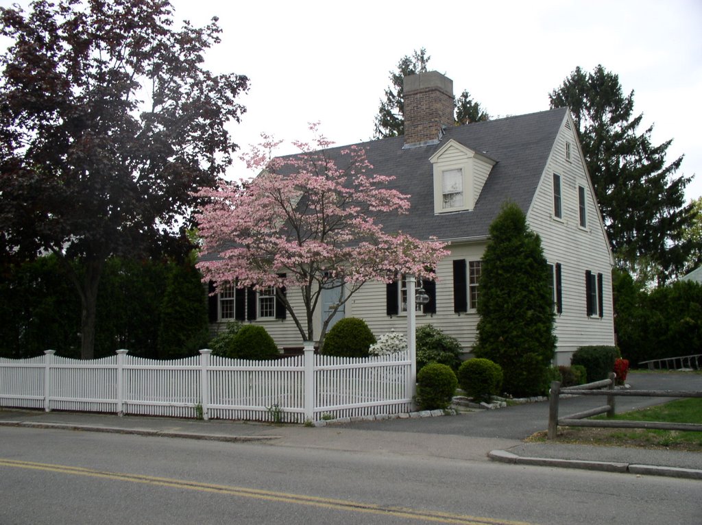 Nipmuc Road Cape