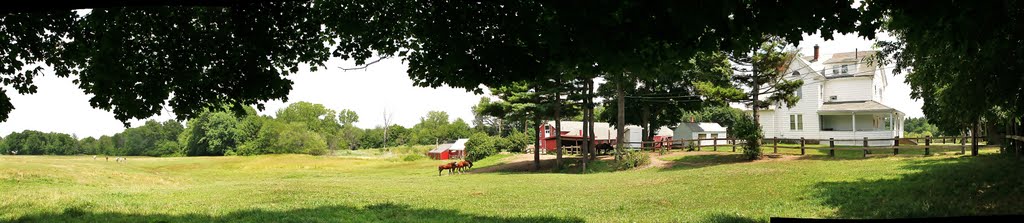 Camp DiCarlo, Framingham, Mass