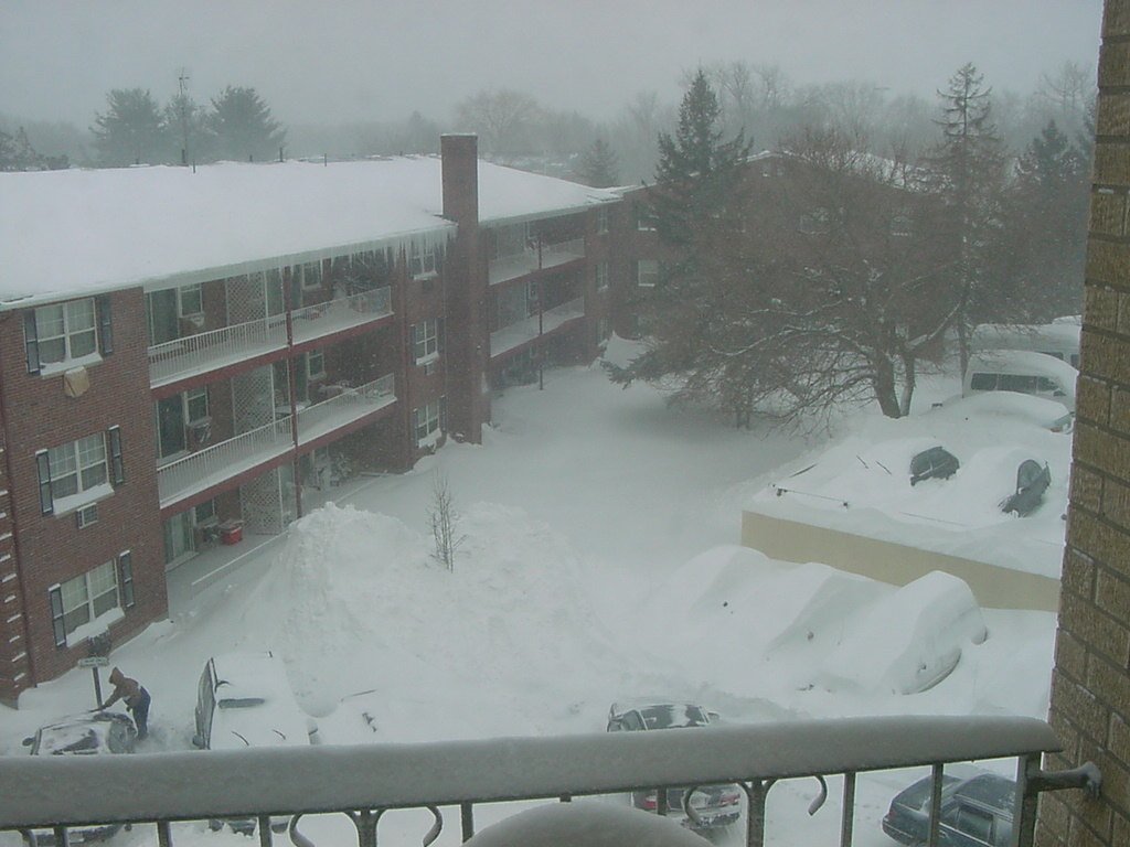 Framingham, after snow storm, 2005