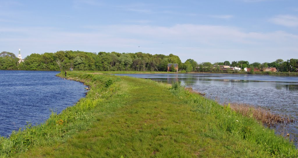 Farm Pond in Framingham, MA