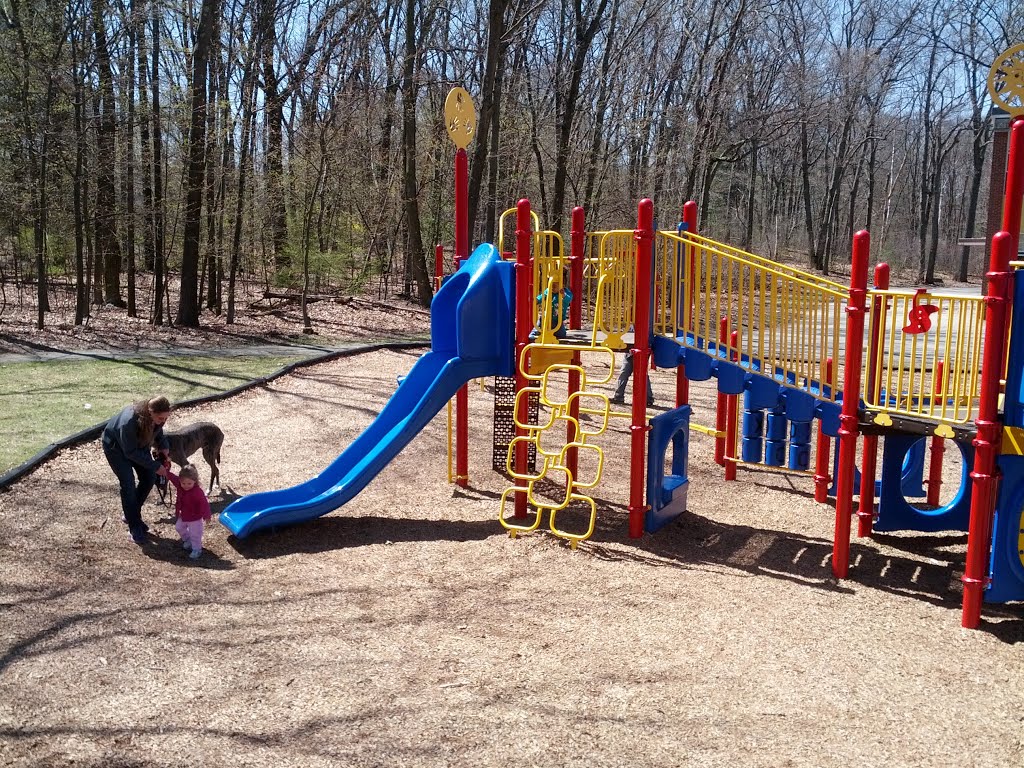 McCarthy School Playground