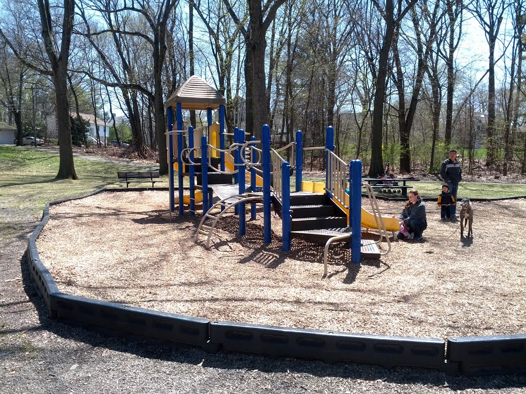 McCarthy School Playground