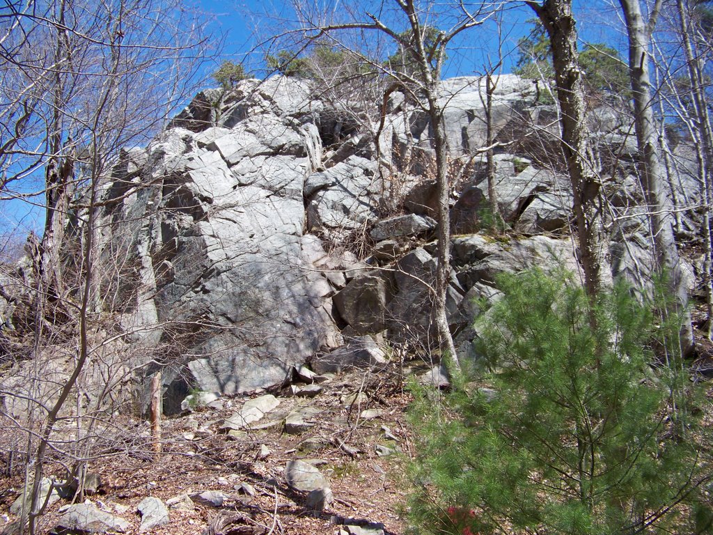 profile rock