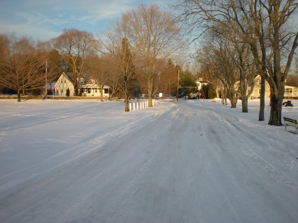 frozen park