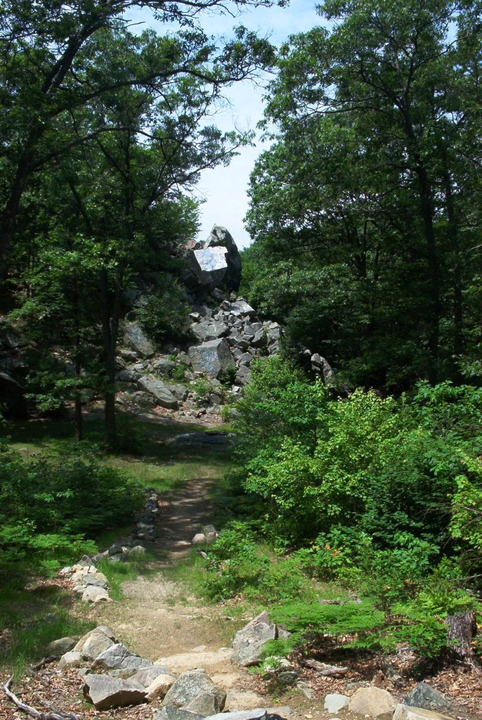 Profile Rock