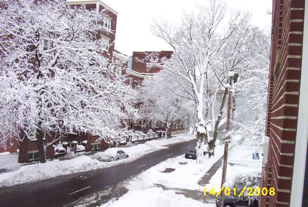 Calle Linden , Holyoke