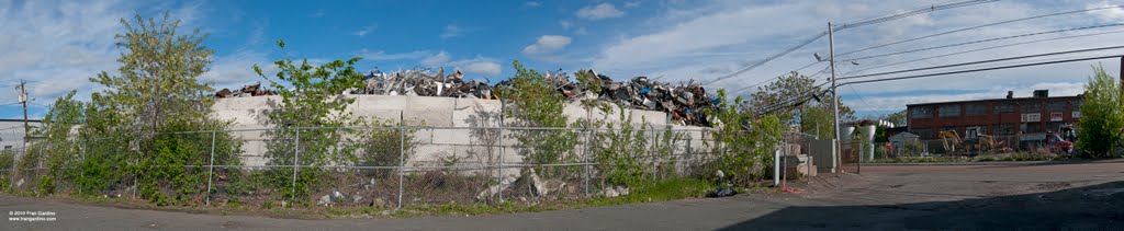 Everett Junk Yard