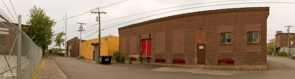 Chelsea Yellow and Red #2