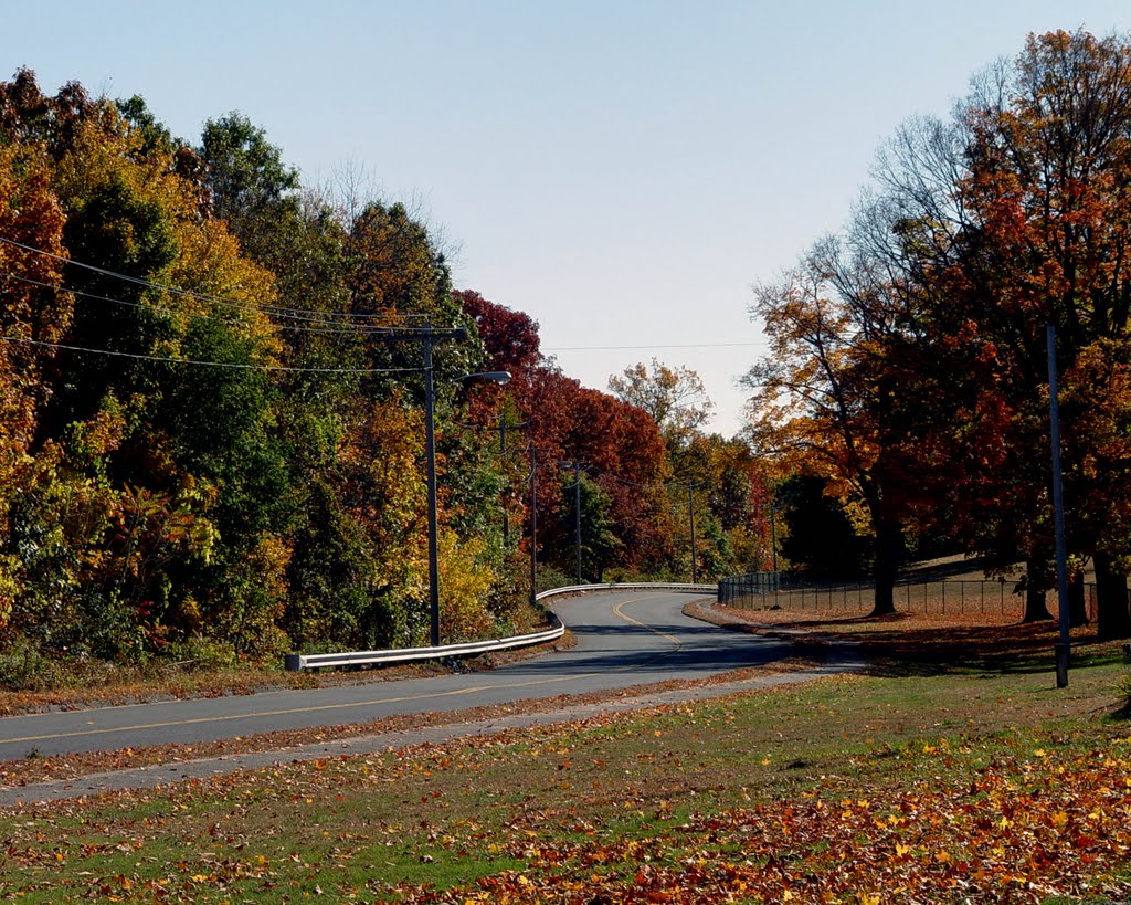 Winding Autumn Road Chicopee MA