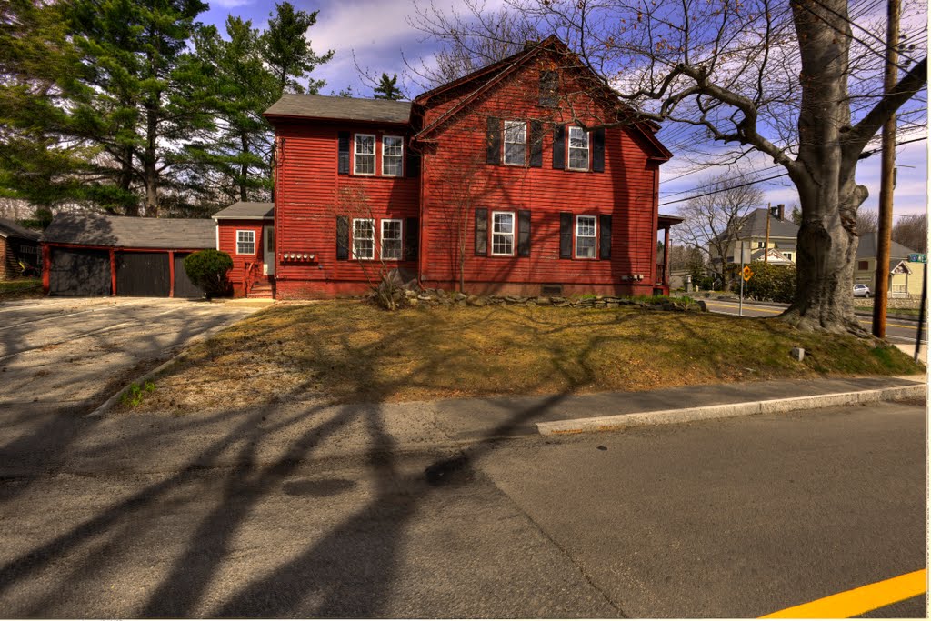 Old Farmstead and Massive Beech Tree