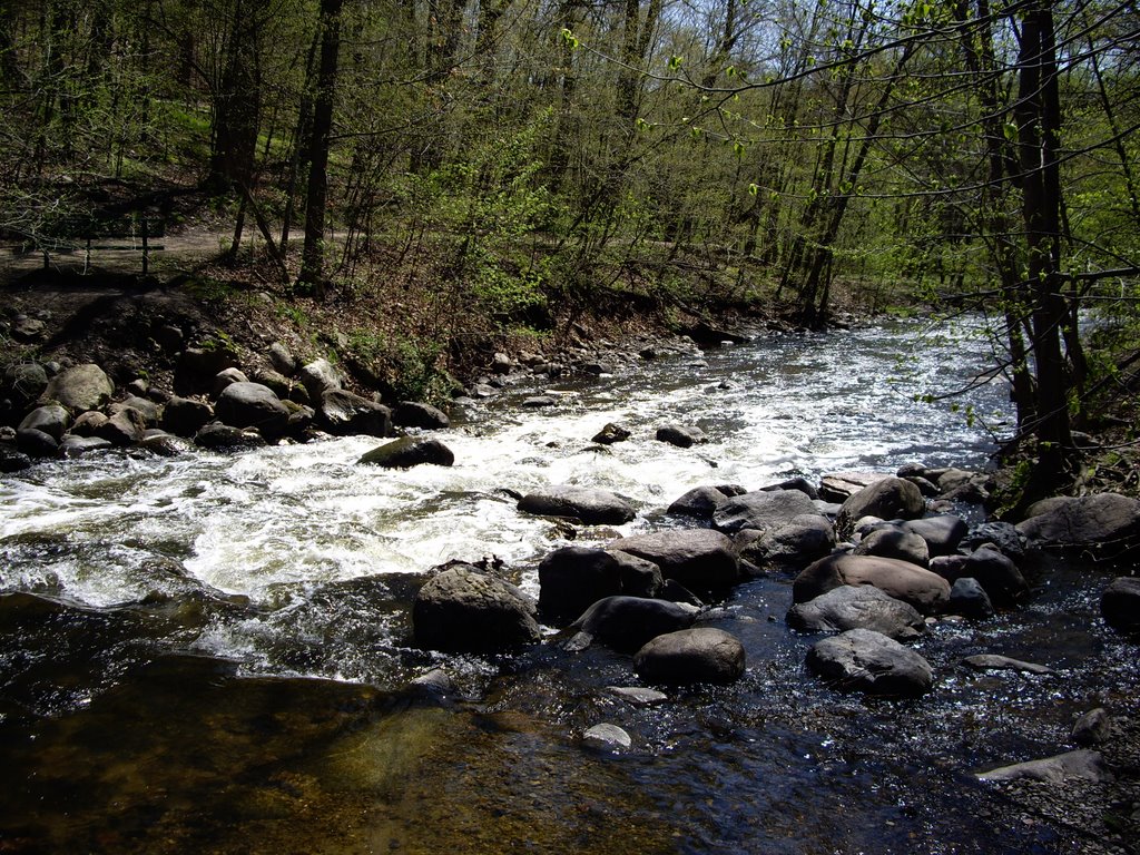 Nine Mile Creek