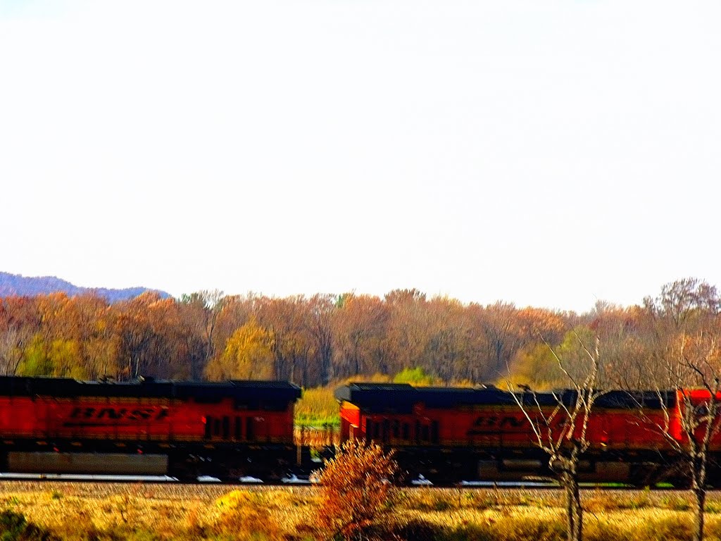 BNSF Train