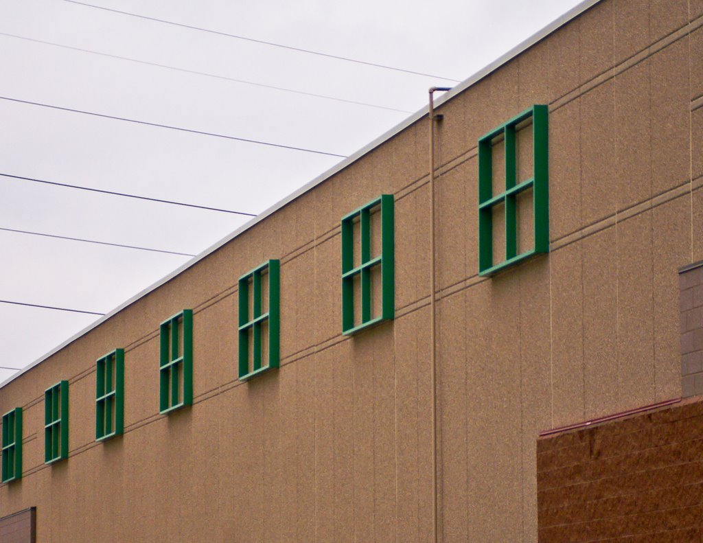 Where are the windows?