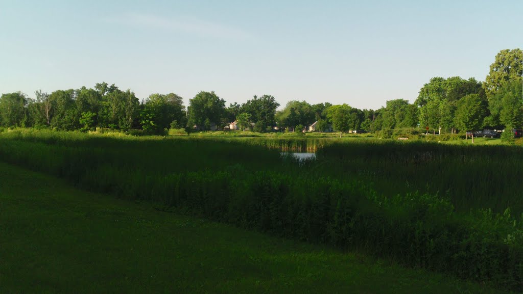 Brooklyn Center