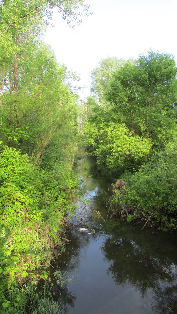 Vermillion River from Blaine Avenue Rosemount MN USA June 2014