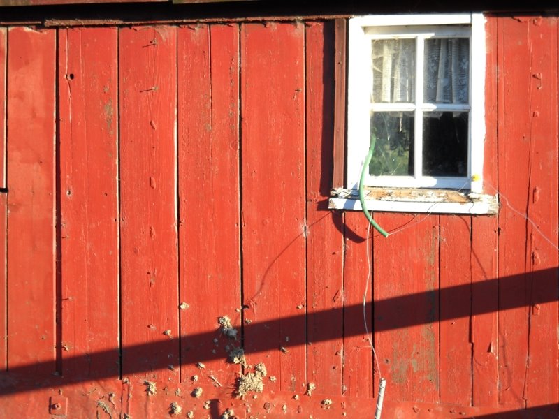 Red Sided Barn at Rosebud Ranch