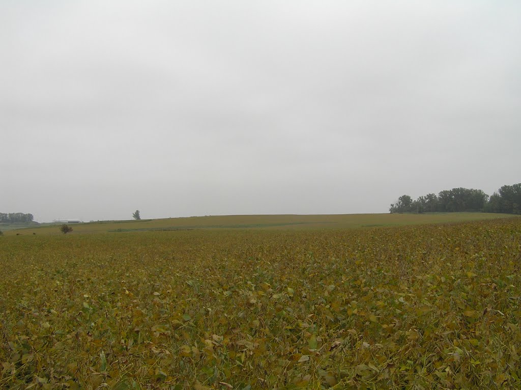 September Field in Whitetail Woods Regional Park