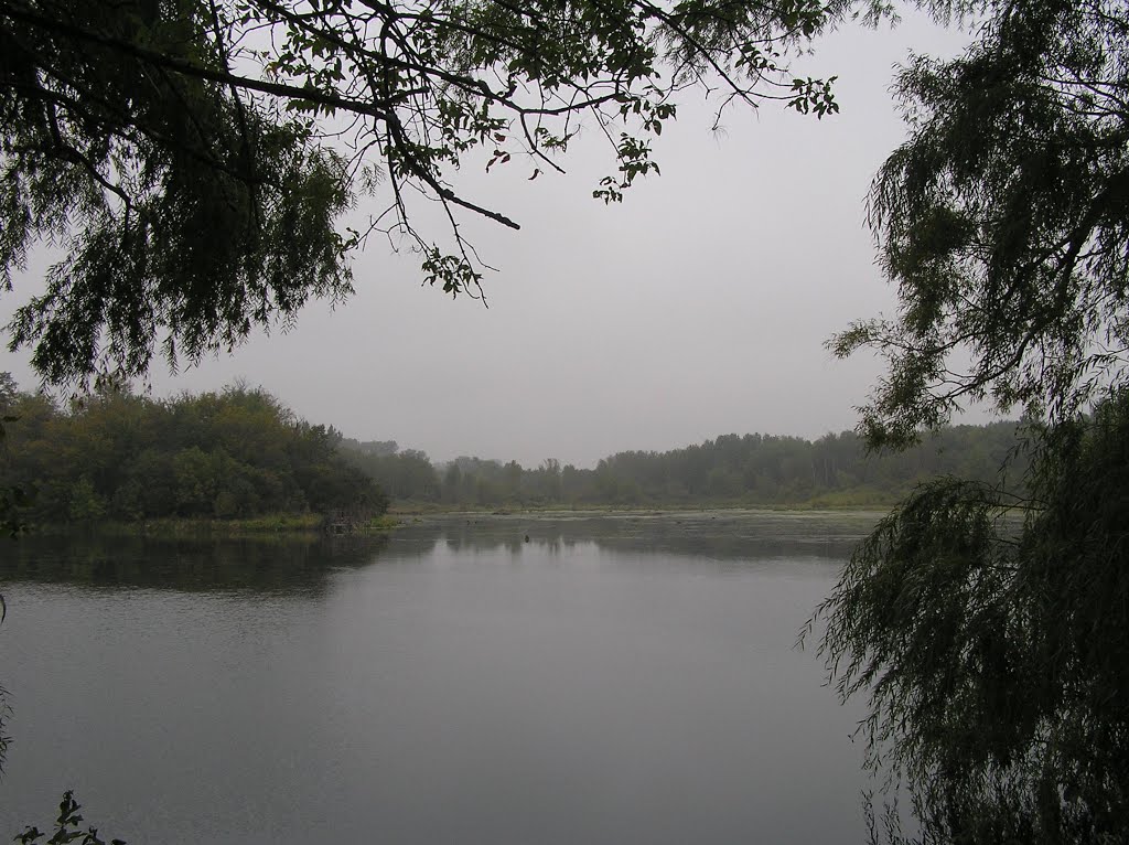 Empire Lake, Foggy Morning Calm, Whitetail Park