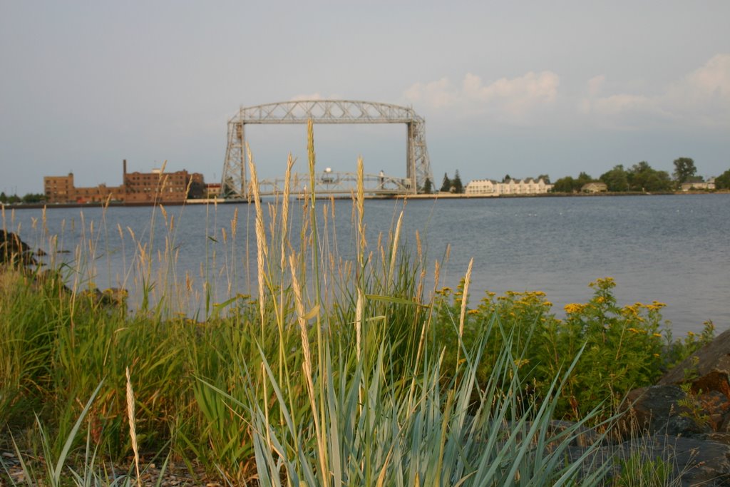 View from Bayfront Park