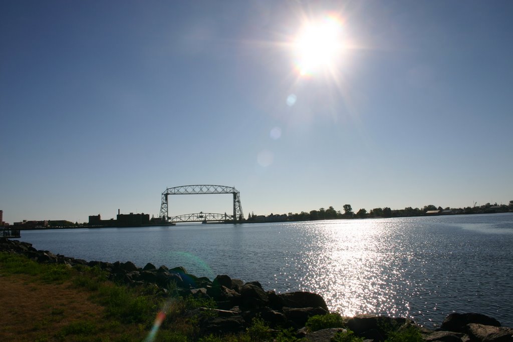 Morning at Bayfront Park