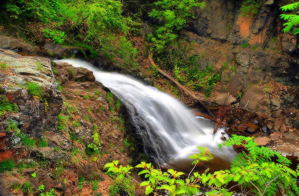 Chester Creek Park 037