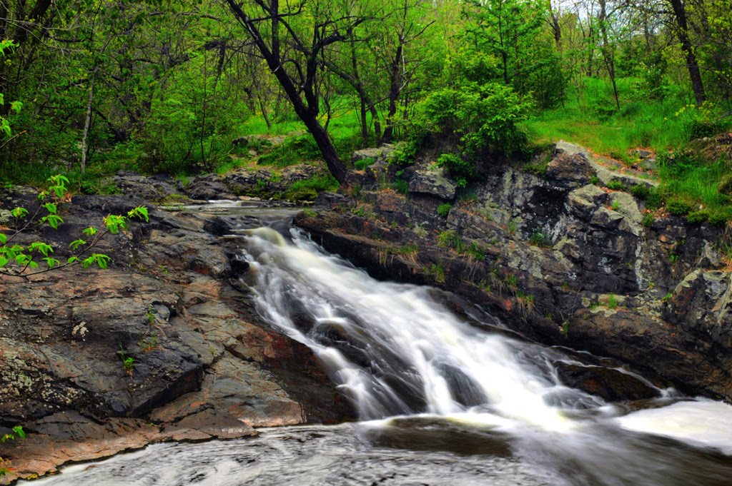 Chester Creek Park 035