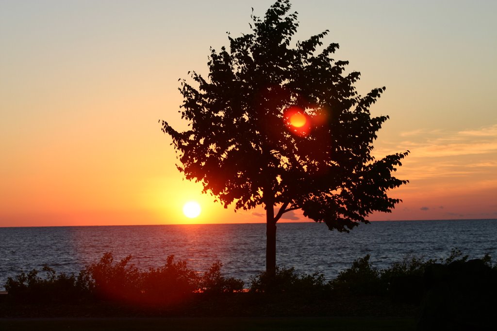 Sunrise From the Lake Walk