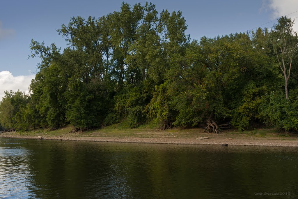 lush greens along the mississippi